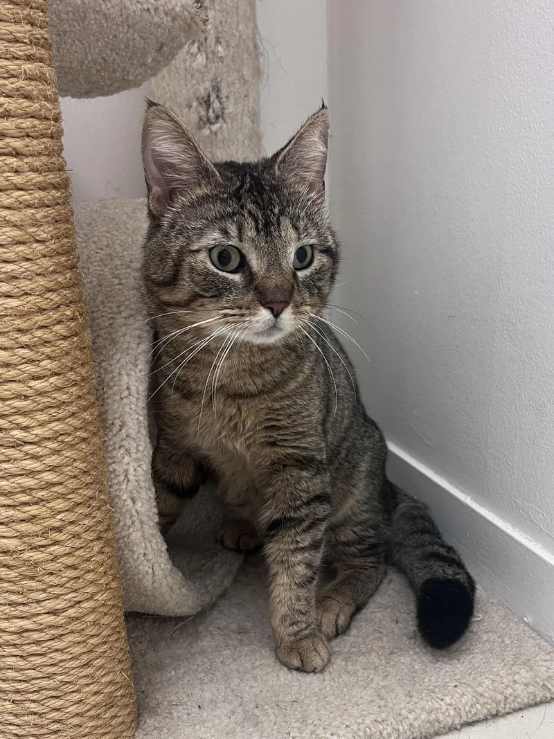 Stewart Rm thumbnail 3