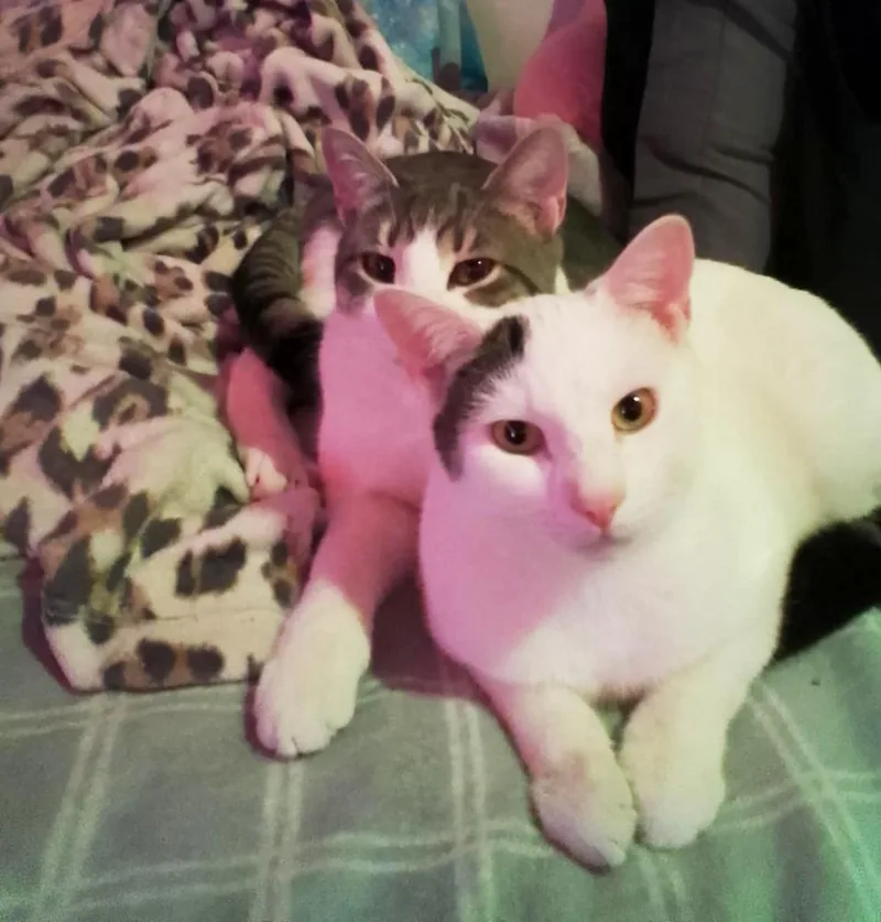 Spanky Avery thumbnail 5