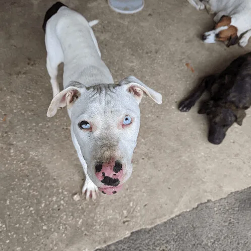 Casper "my Love Is thumbnail 2