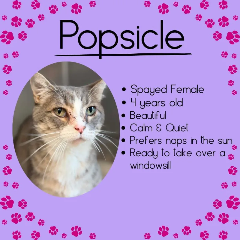 Popsicle