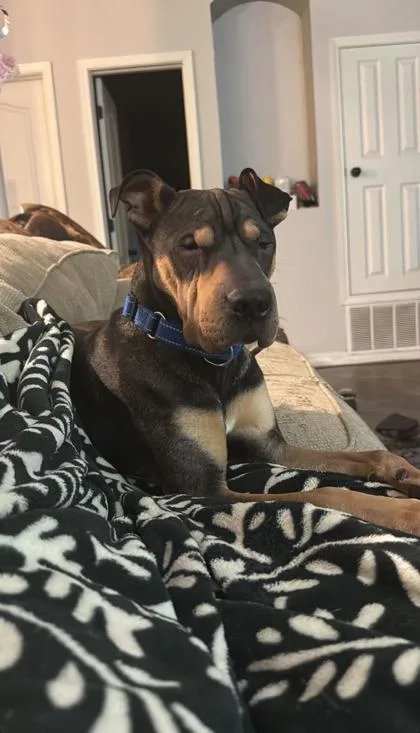 Jax