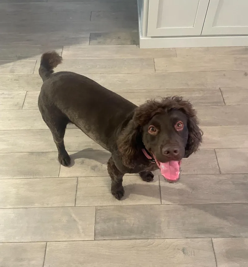 Yogi Bear thumbnail 5