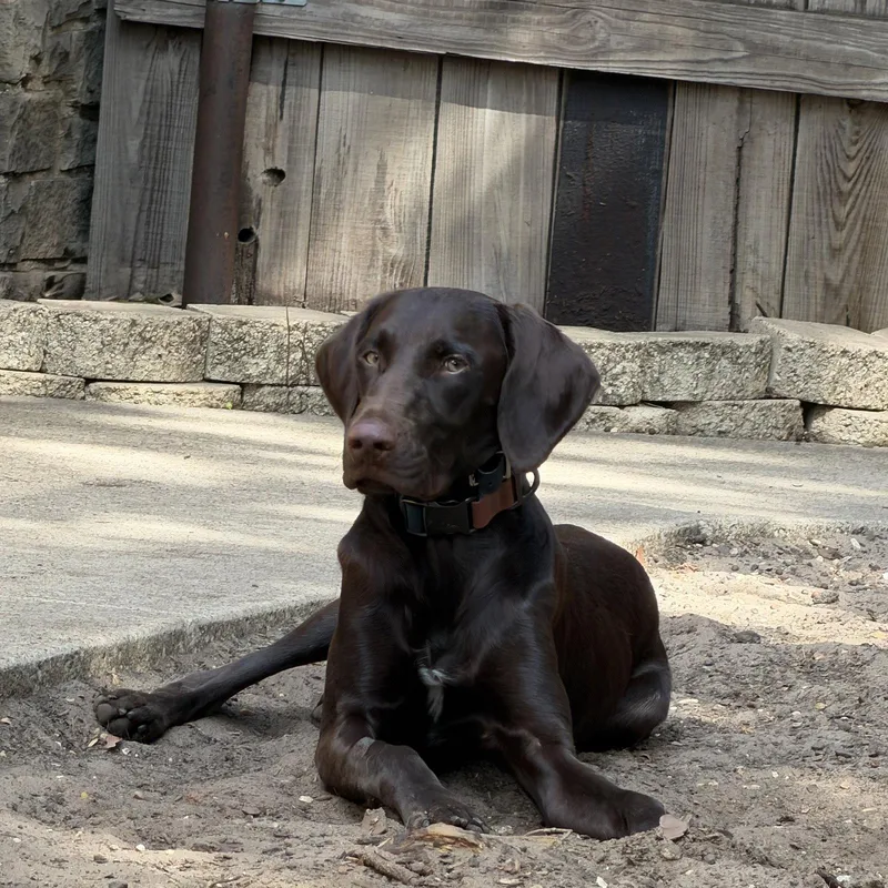 Murphy thumbnail 2