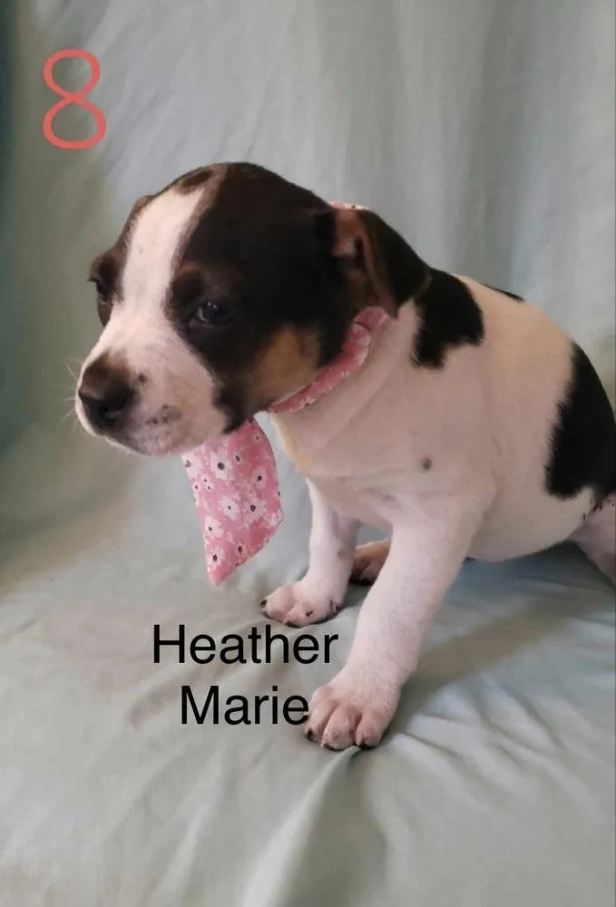 Heather Marie thumbnail 3