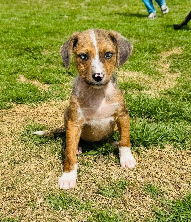 Mother Church “mouse” thumbnail 4