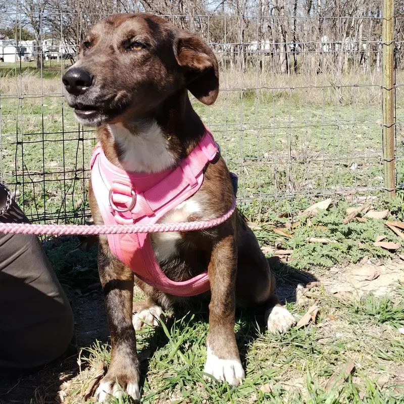 Wanda Jc thumbnail 2