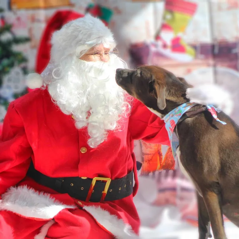 Wanda Jc thumbnail 3