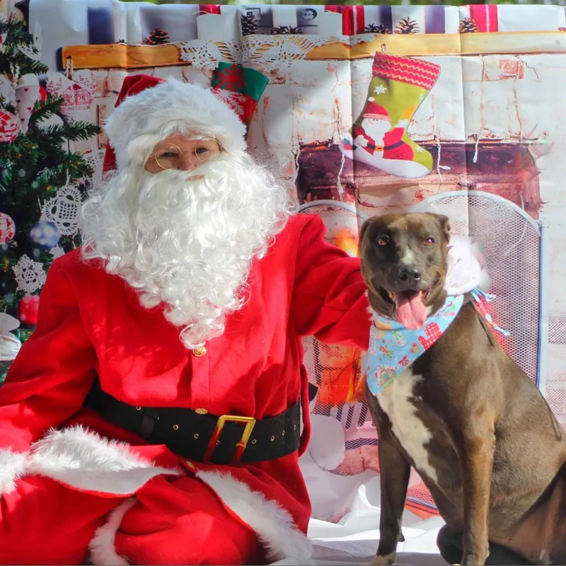 Wanda Jc thumbnail 4