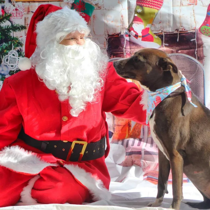 Wanda Jc thumbnail 6