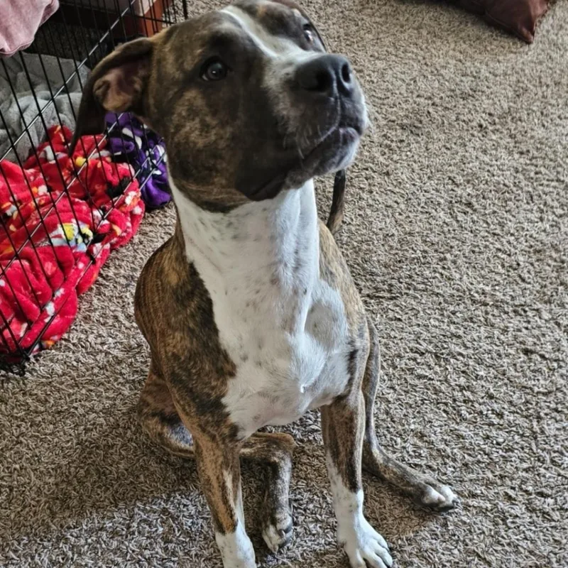 Little One thumbnail 2