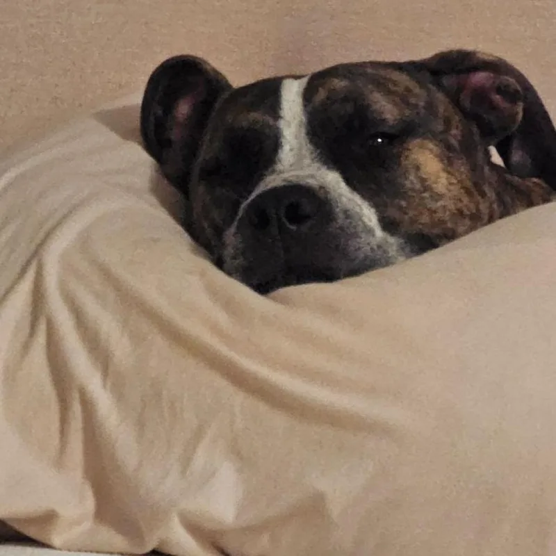 Little One thumbnail 3