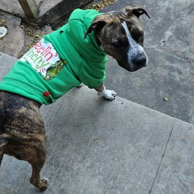 Little One thumbnail 4