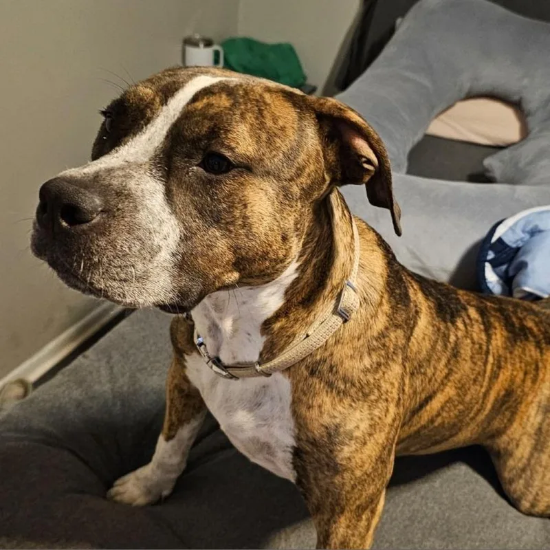 Little One thumbnail 5