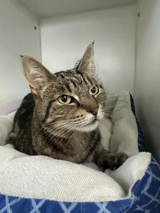 Felicity thumbnail 2