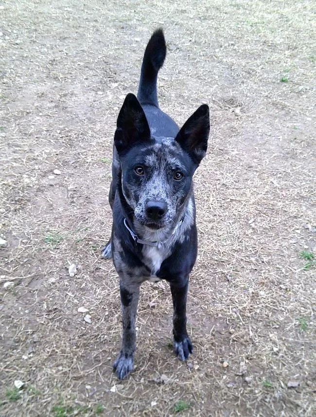 Stella Luna thumbnail 6