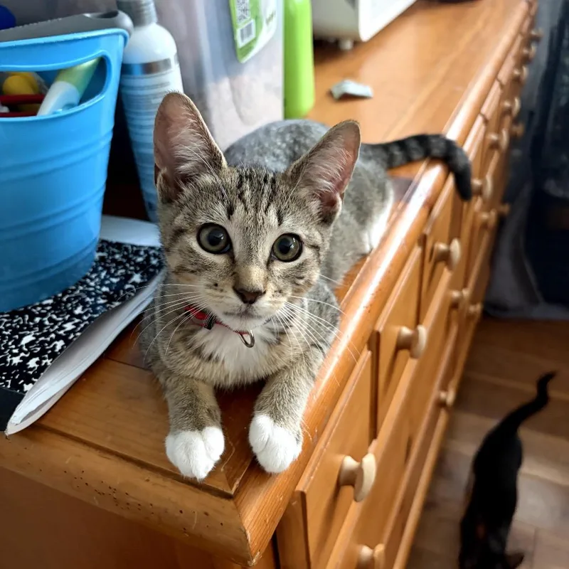Delilah thumbnail 2