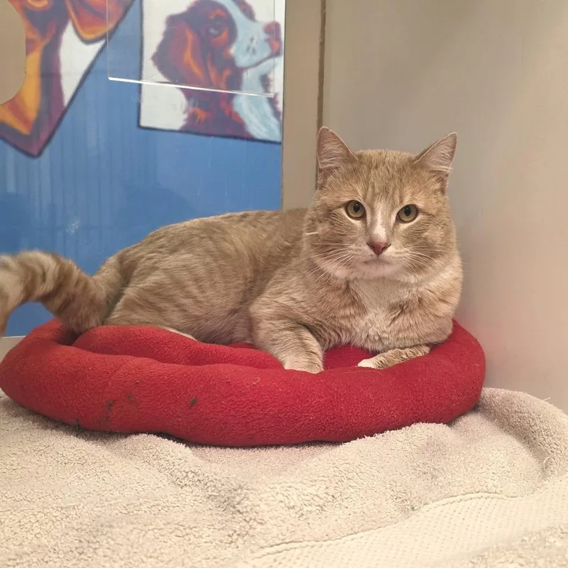 Little Davey thumbnail 2