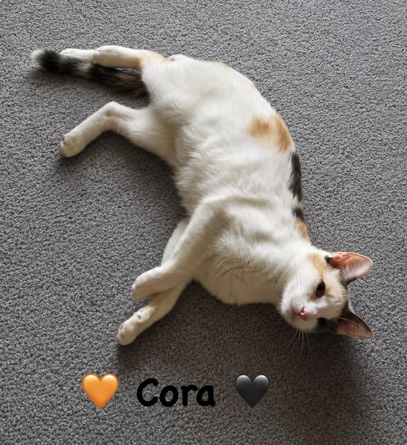 Sweet Cora thumbnail 3