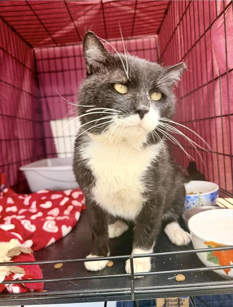 Magnumwillow Grove thumbnail 3