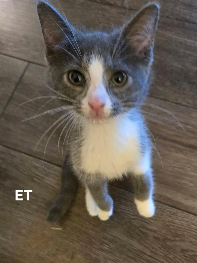 Et