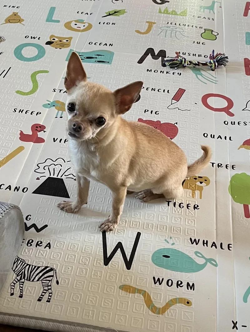 Mya  Recommended As thumbnail 3