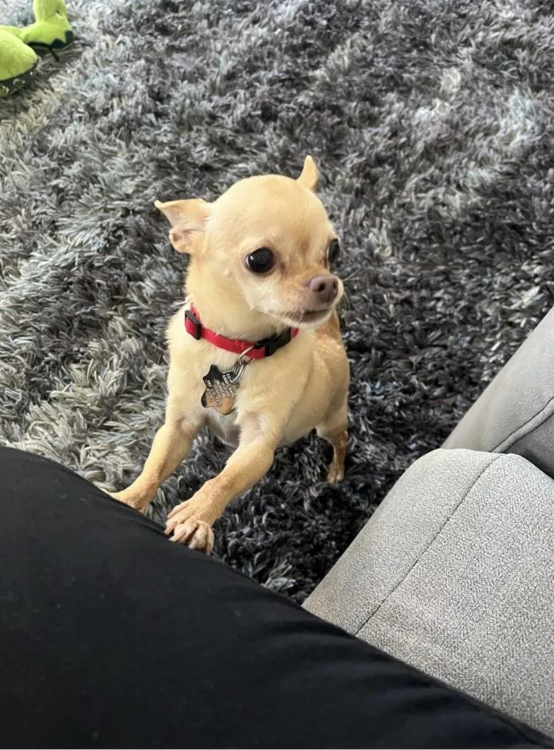 Mya  Recommended As thumbnail 4