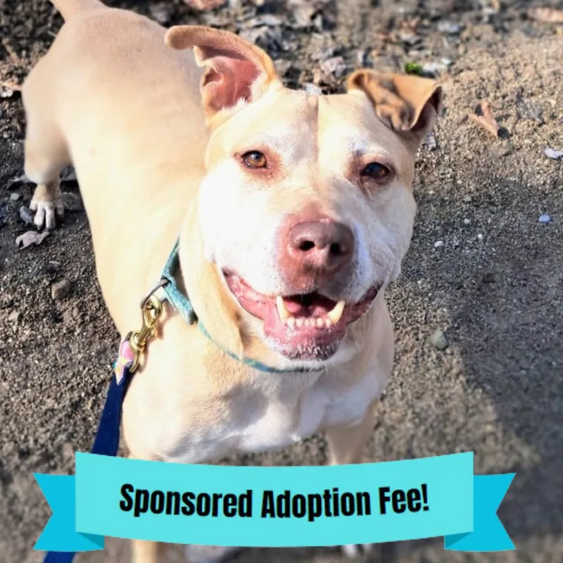 Scarlett thumbnail 5