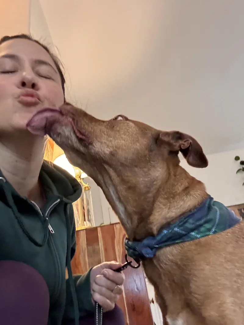 Marley thumbnail 4