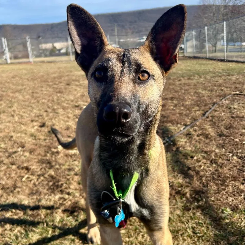 Lorraine thumbnail 2