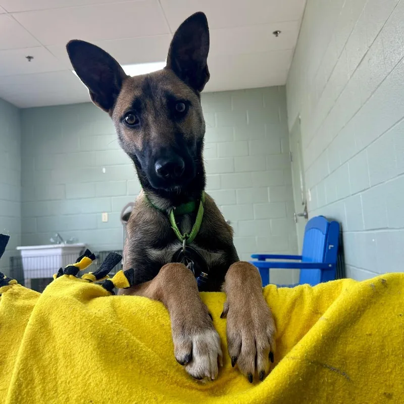 Lorraine thumbnail 3