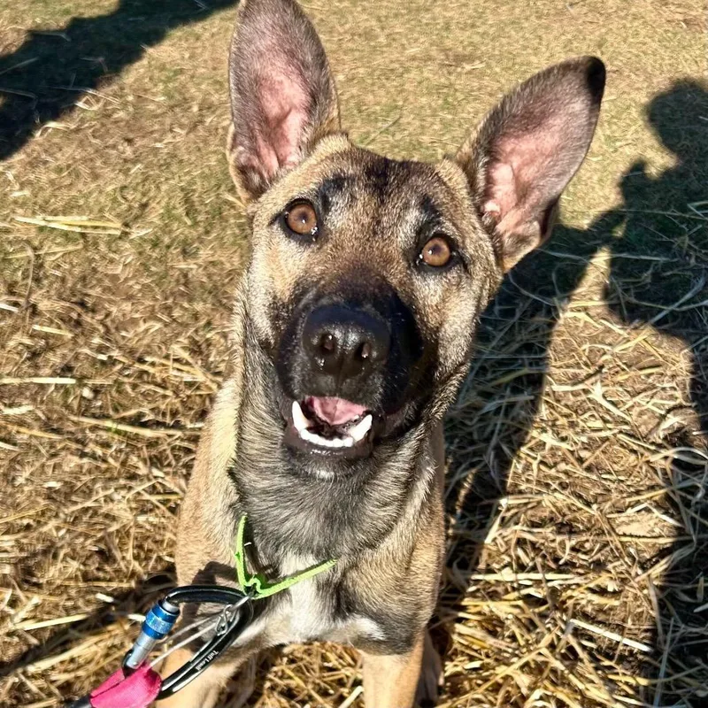 Lorraine thumbnail 4