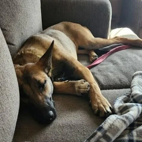 Lorraine thumbnail 6