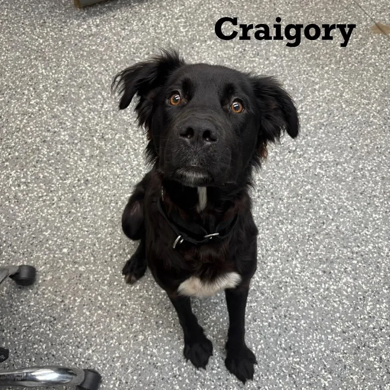 Craigory