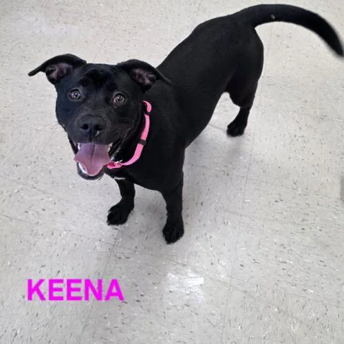 Keena