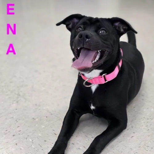 Keena thumbnail 2