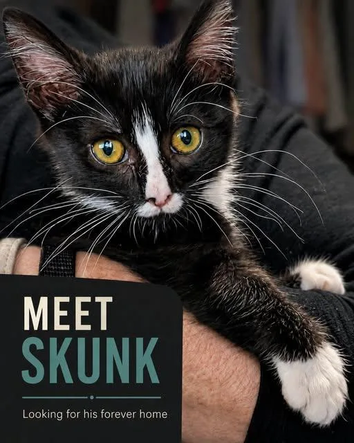 Skunk SR