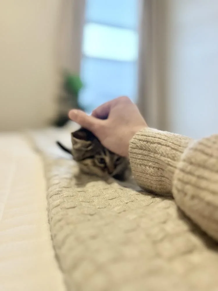 Catherine thumbnail 2