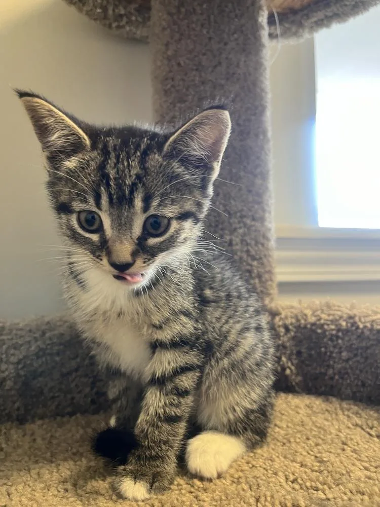 Catherine thumbnail 4