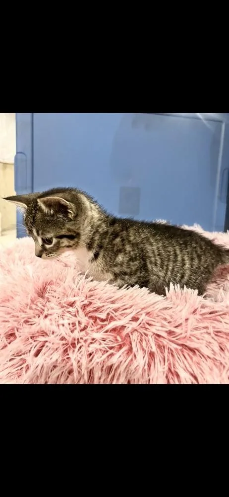 Catherine thumbnail 5