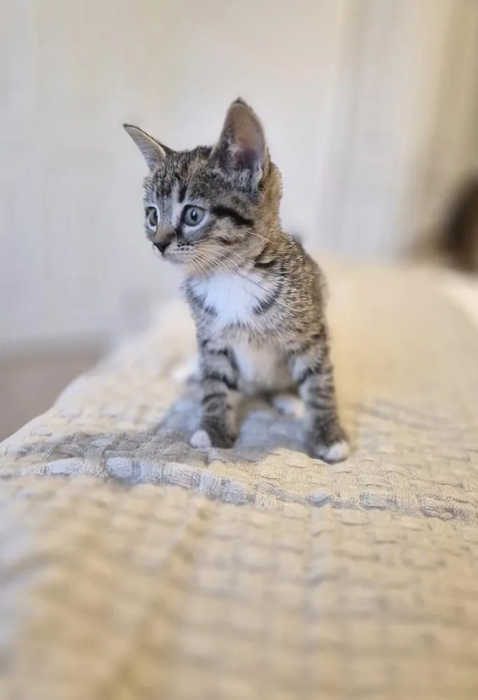 Catherine thumbnail 6