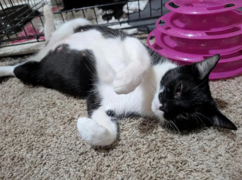 Jasmine & Harriet thumbnail 2