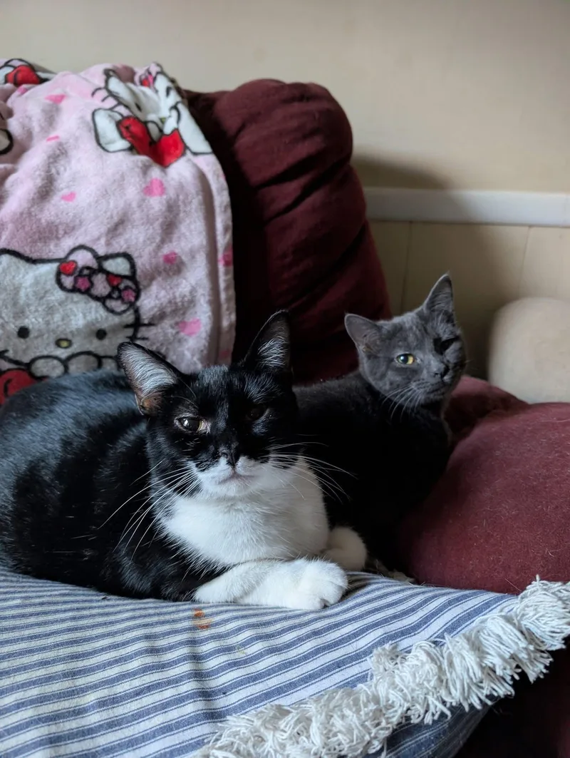 Jasmine & Harriet thumbnail 3