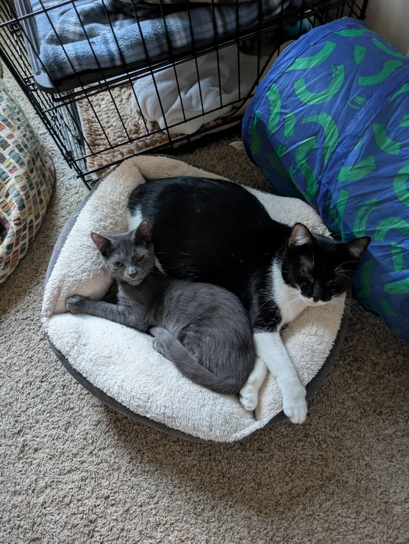 Jasmine & Harriet thumbnail 6