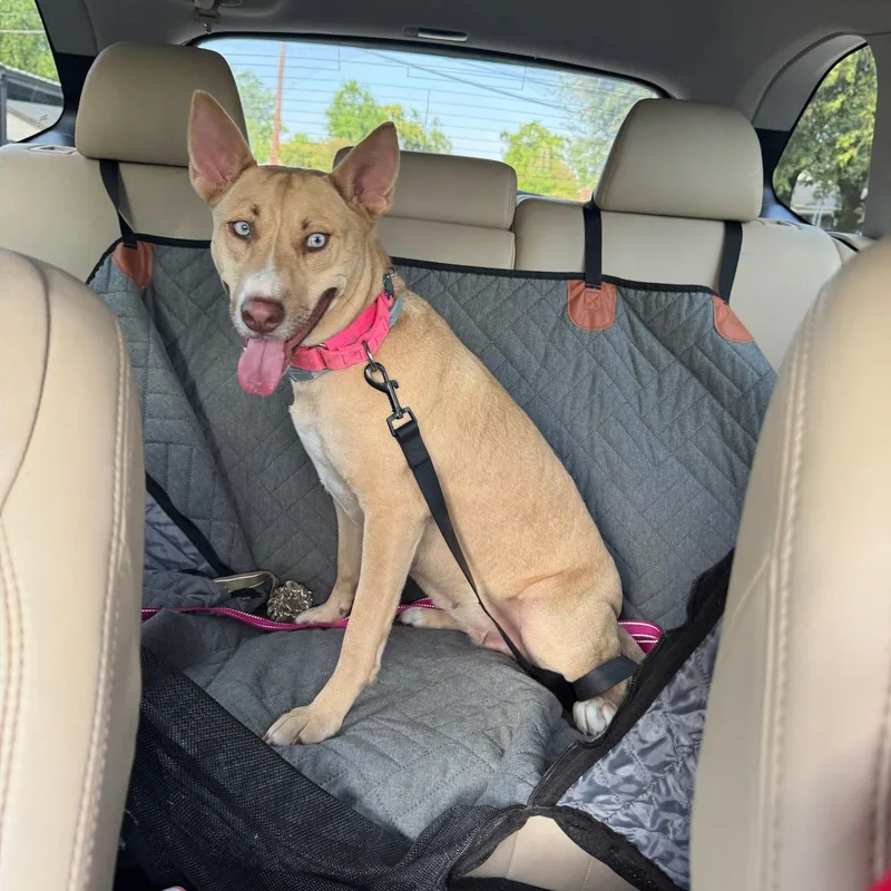 Honeycomb thumbnail 3