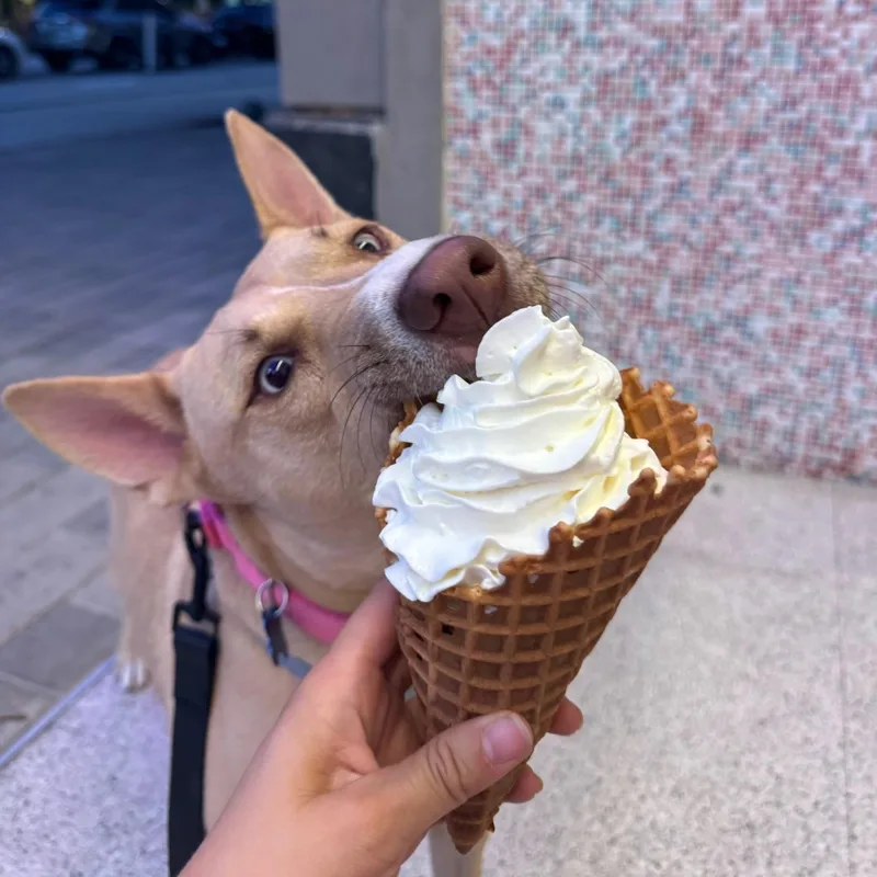 Honeycomb thumbnail 6