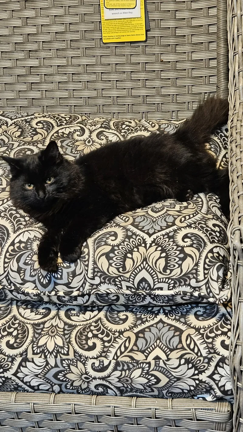 Walle & Eve thumbnail 2