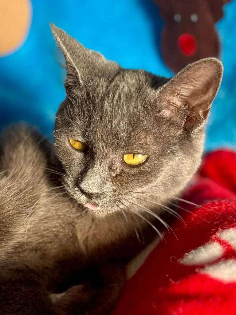 Pretty Girl thumbnail 3