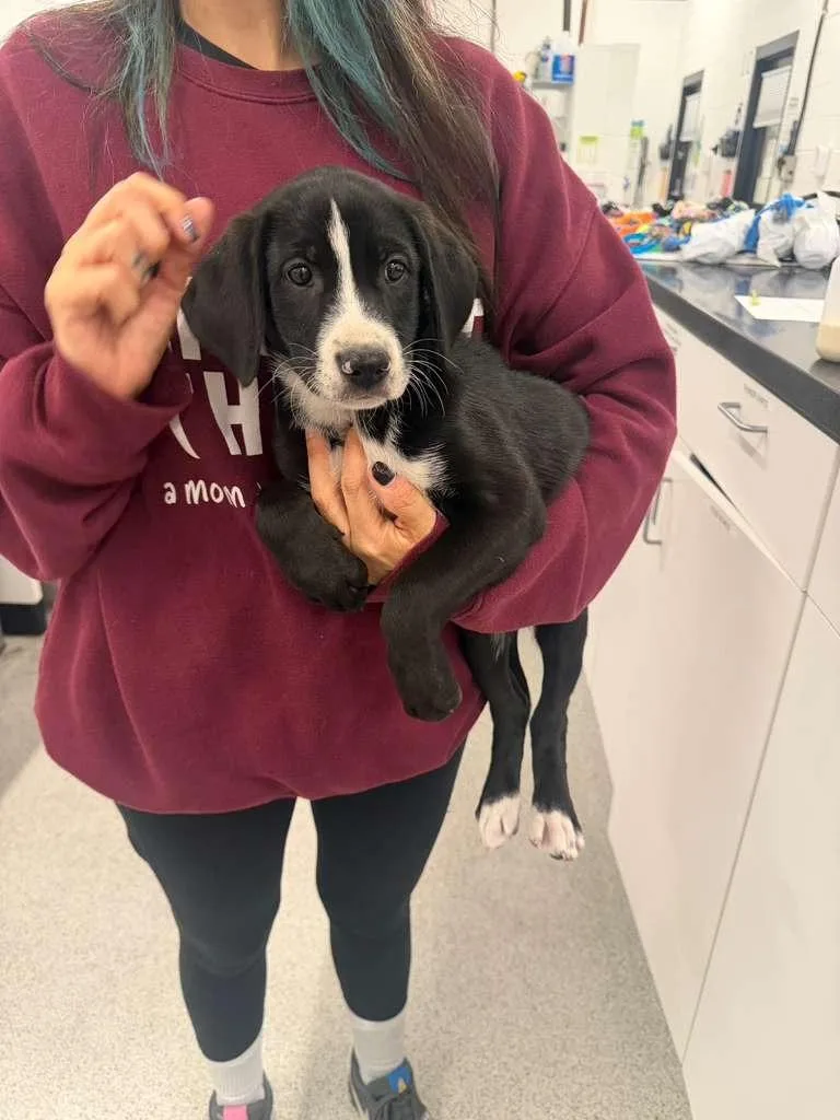 Embezzle thumbnail 2