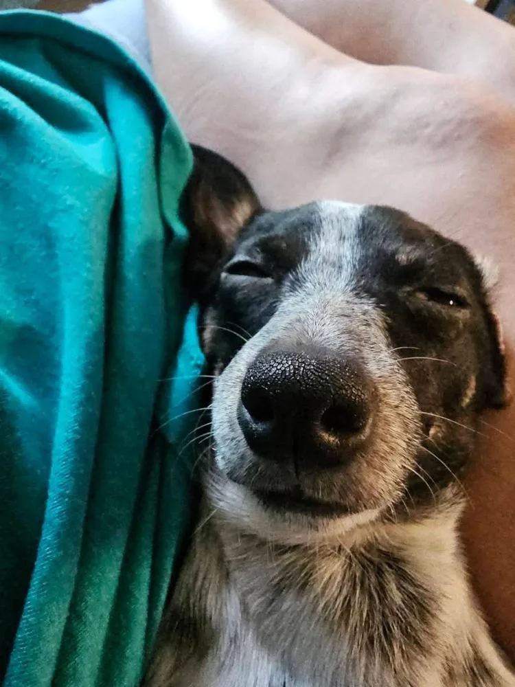 Chico Benito thumbnail 2