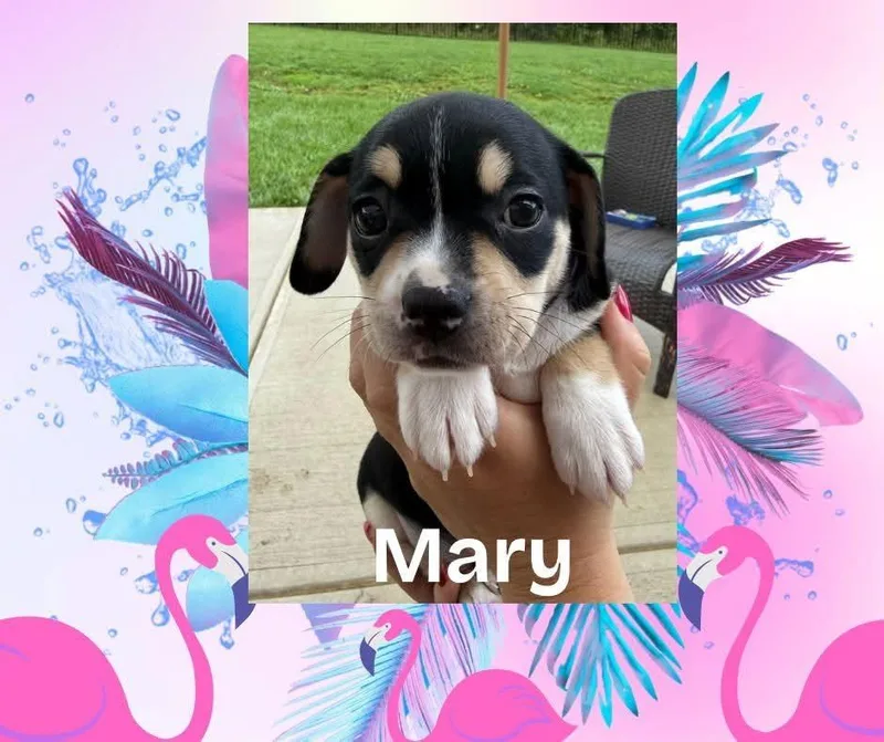 Mary thumbnail 2